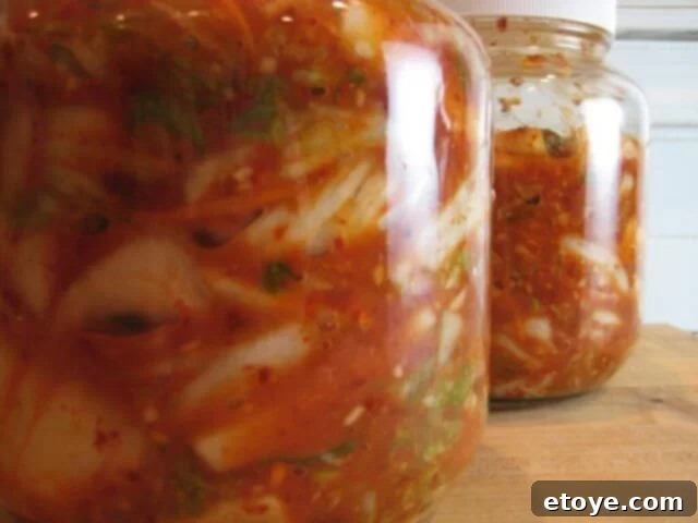 Keep Kimchi Fresh: The Definitive Storage Handbook 6 jars of kimchi