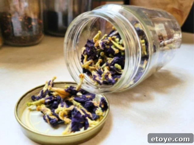 butterfly pea flower tea in a glass