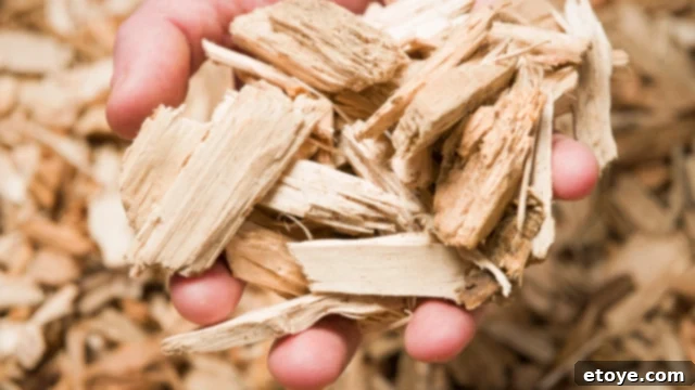 gas smoker wood chips