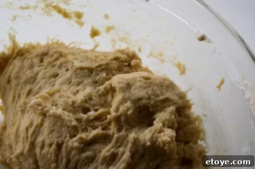 No-Knead Sticky Pecan Caramel Cinnamon Rolls 2 Freshly Made No-Knead Dough for Delicious Baking