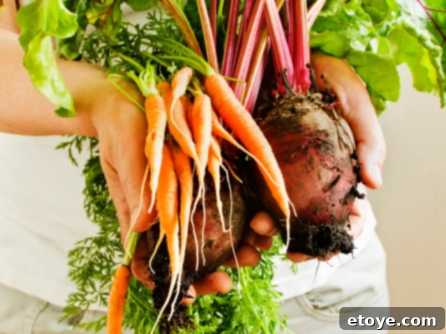 The Ultimate Guide to Fall Vegetables 2 A vibrant display of assorted fall vegetables like squash, leafy greens, root vegetables, and pumpkins, symbolizing the richness of the autumn harvest.