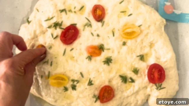 Bosch Universal Plus Kitchen Mixer Deep Dive 7 Freshly kneaded pizza dough in a bowl, perfectly prepared and ready for rising.