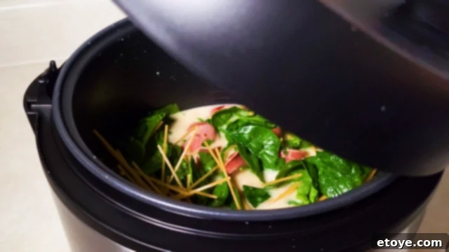 Aroma Rice and Grain Multicooker 2024 Deciding If It's For You 5 closing the lid of the multicooker