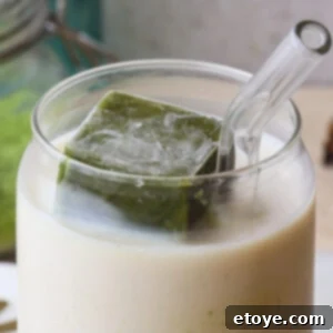 Mind, Body, and Immunity Boosting Ice Cubes 12 Cognitive boost ice cube