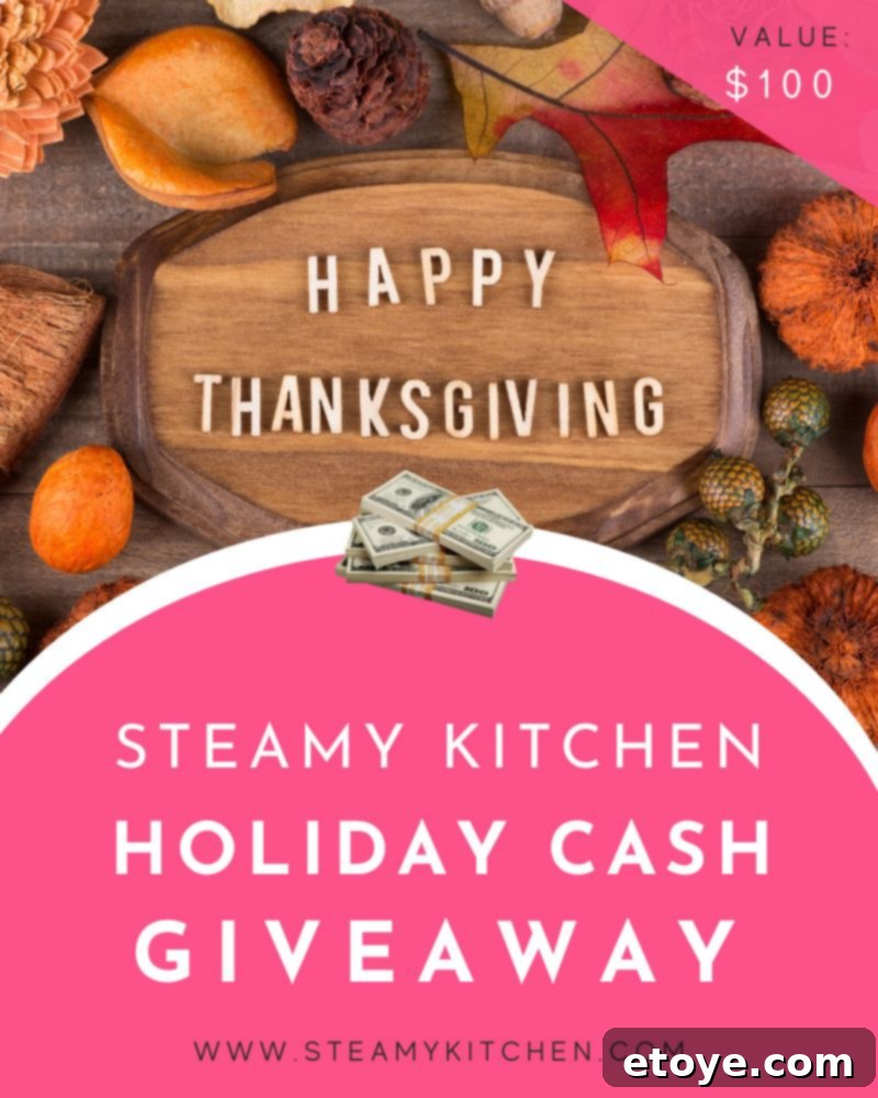 Steamy Kitchen holiday $100 cash giveaway banner