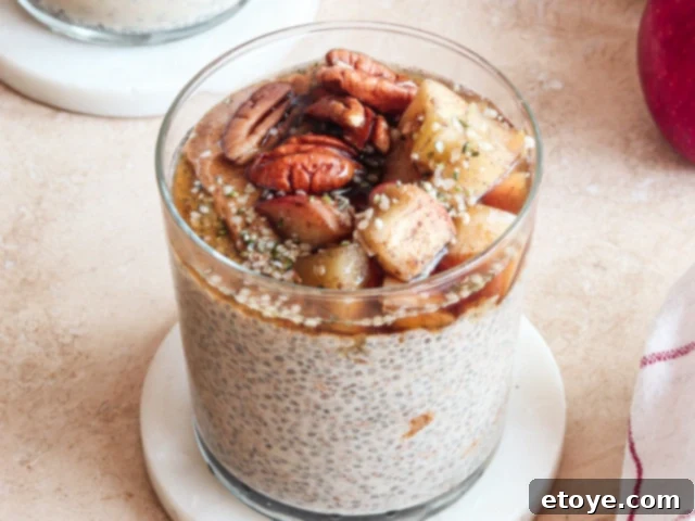 Winter Chia Pudding with various toppings laid out