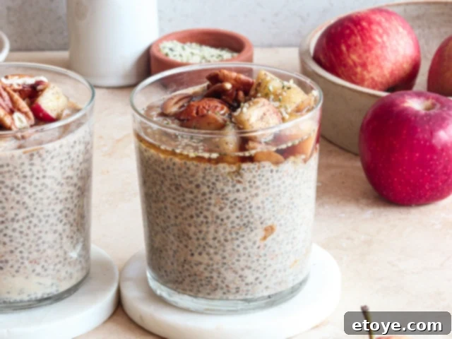 Serving of Winter Chia Pudding with toasted pecans and almond butter swirl