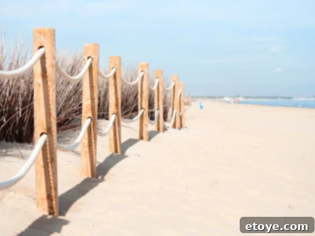 Setting Healthy Boundaries for a Balanced Life