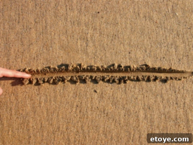 Practical Steps to Establish Clear Personal Boundaries