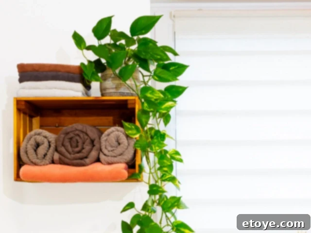 10 Effortless Houseplants to Chase Away Winter Blues 4 Trailing Pothos plant with variegated leaves