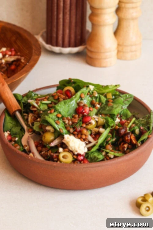 winter crunch lentil salad