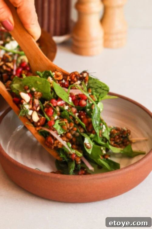 winter crunch lentil salad