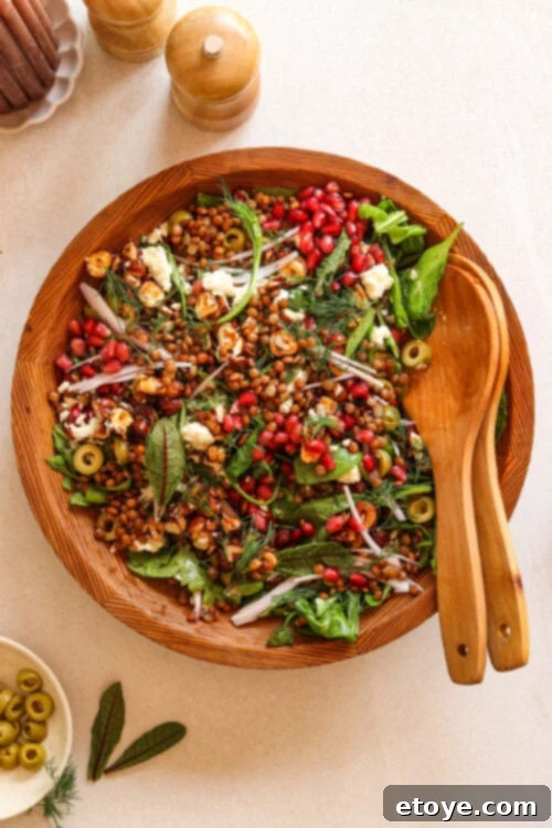 winter crunch lentil salad