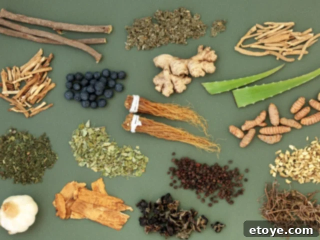 Adaptogenic herbs, roots, and fungi for holistic wellness