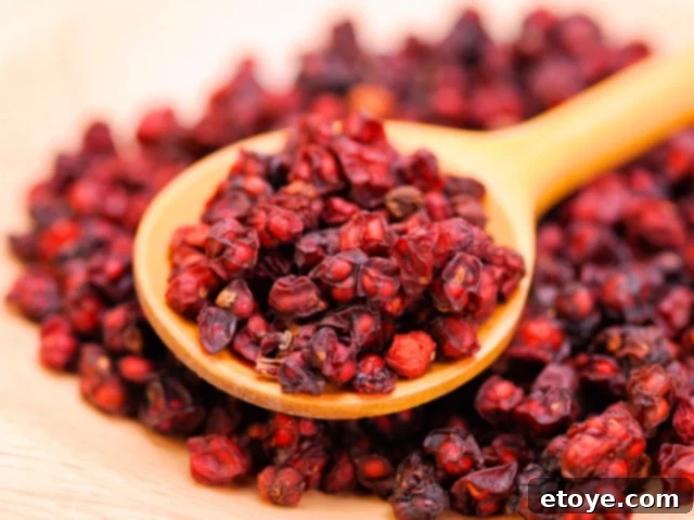 Pile of vibrant red Schisandra Berries, known for their unique taste
