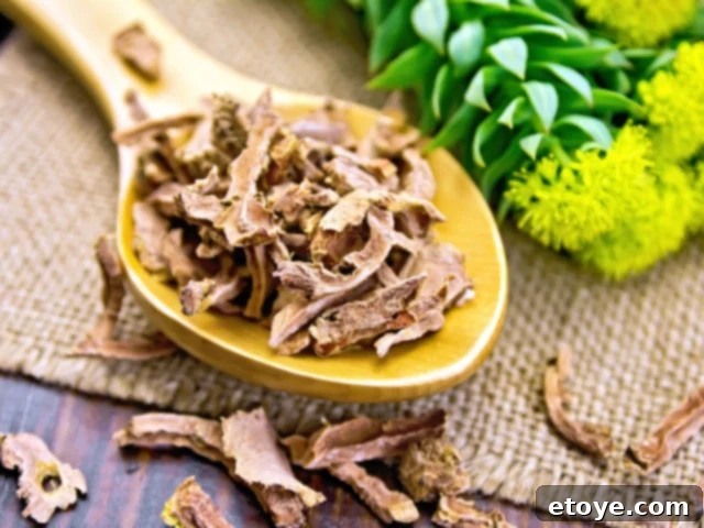 Rhodiola Rosea, also known as Arctic Root or Golden Root, growing in harsh conditions