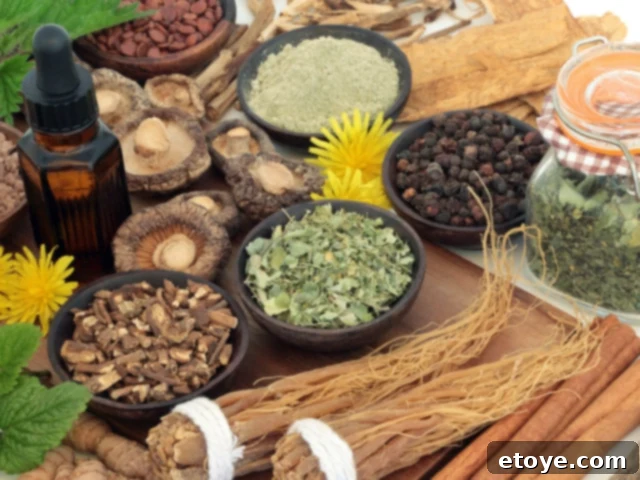Close-up of various adaptogens, highlighting their natural forms and textures