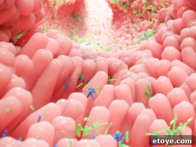 Gut Health Superfoods: Probiotics and Prebiotics for Optimal Digestion 7 gut microflora and health