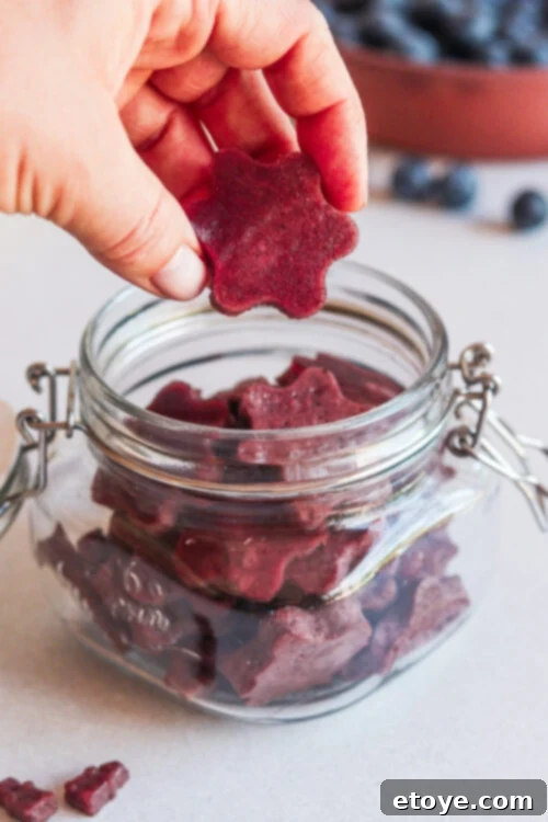 Blueberry Lemon Gut Healing Gummies 2 Gut Healing Blueberry and Lemon Gummies Recipe