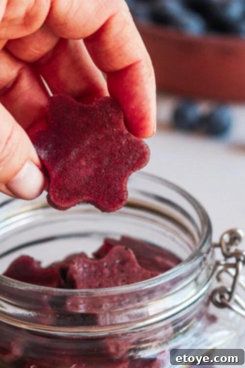 Blueberry Lemon Gut Healing Gummies 4 Gut Healing Blueberry and Lemon Gummies Recipe