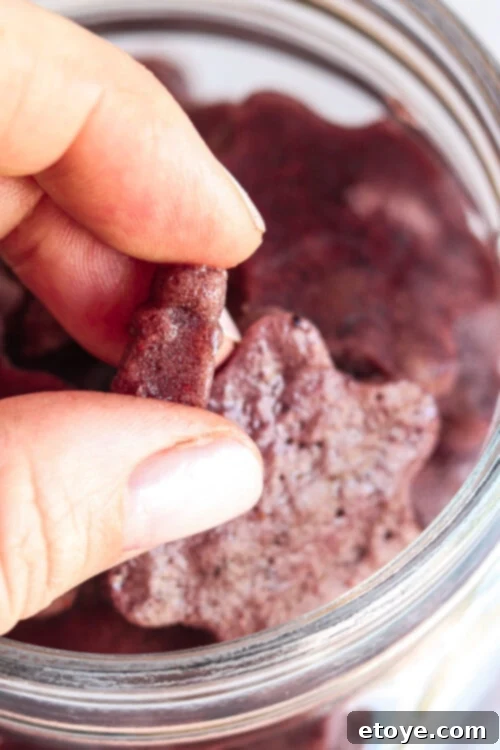 Blueberry Lemon Gut Healing Gummies 5 Gut Healing Blueberry and Lemon Gummies Recipe