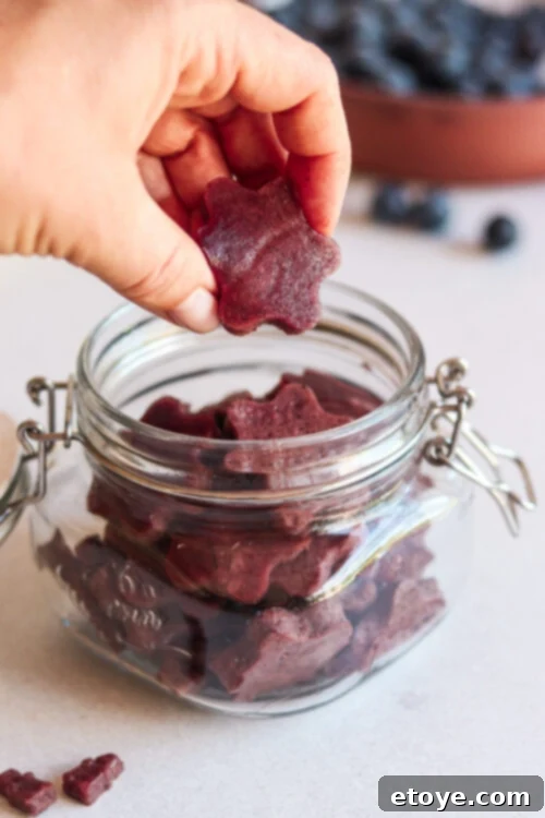 Blueberry Lemon Gut Healing Gummies 6 Gut Healing Blueberry and Lemon Gummies Recipe