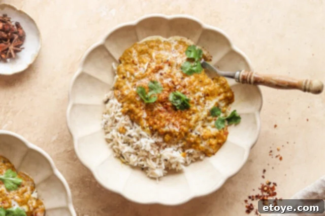 Rich and Creamy Red Lentil Curry served in a bowl with fresh cilantro garnish