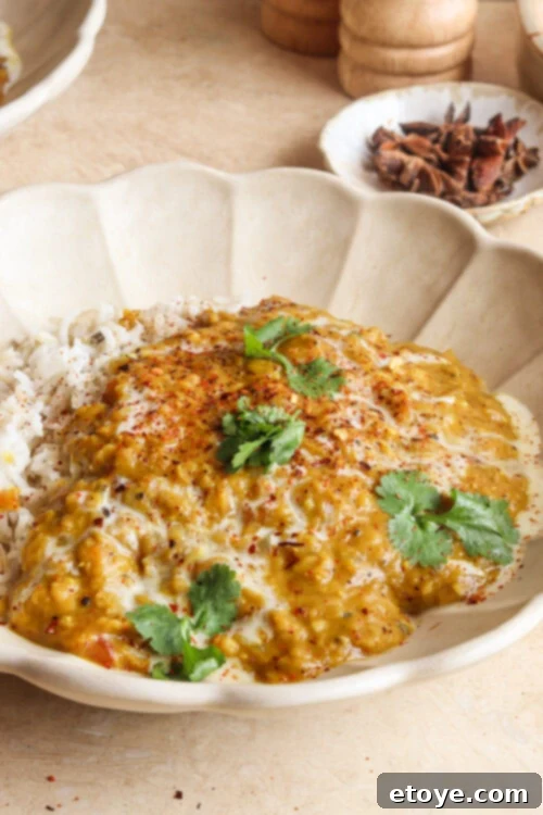 Close-up of creamy red lentil curry garnished with fresh cilantro in a plate