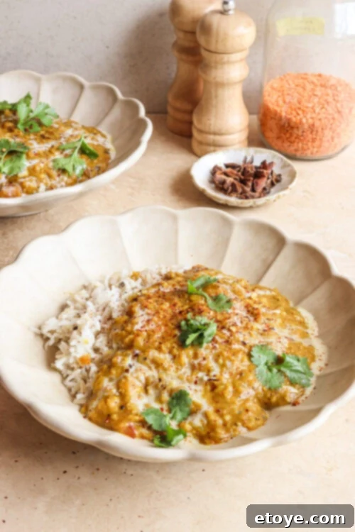 Red Lentil Curry in a bowl with rice and cilantro