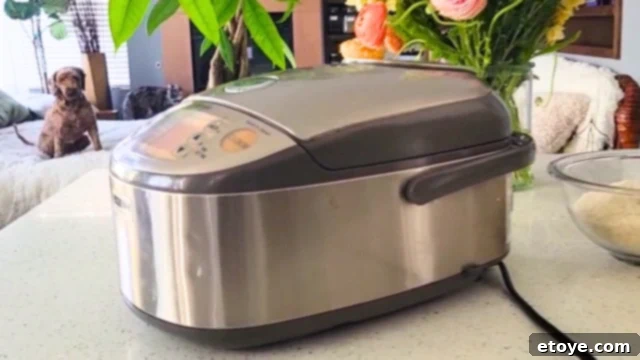 Zojirushi NP-HCC10 The Best Rice Cooker Evaluated 2 Old Zojirushi Rice Cooker, showing signs of many years of use