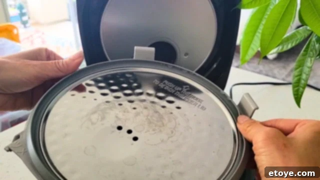 Zojirushi NP-HCC10 The Best Rice Cooker Evaluated 7 Side view of the Zojirushi rice cooker, showcasing its sleek design