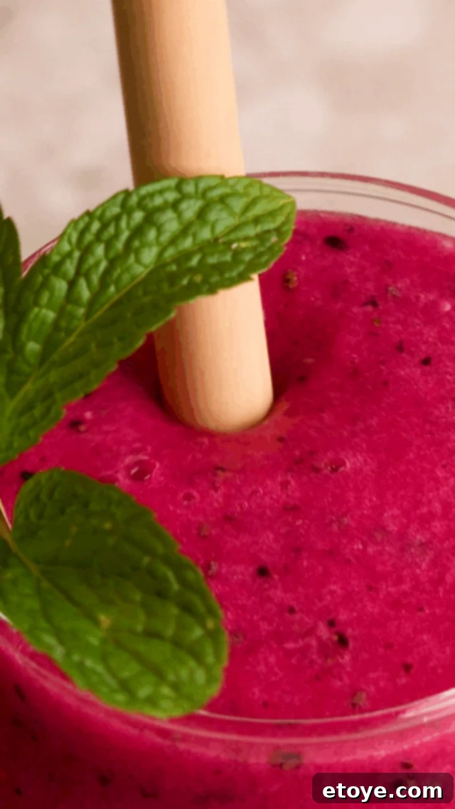 Dragon Fruit Hibiscus Coconut Refresher 5 A glass of Dragon Fruit Chill Smoothie elegantly garnished with fresh mint leaves and a slice of dragon fruit, surrounded by fresh ingredients like lime, ginger, and hibiscus flowers.