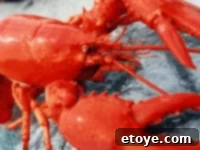 Win a GetMaineLobster.com Dinner for Four 4 GetMaineLobster.com - Seafood Packages and Gifts