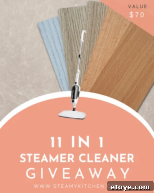 Ultimate 11 in 1 Steamer Cleaner Giveaway 2 11-in-1 Steamer Cleaner