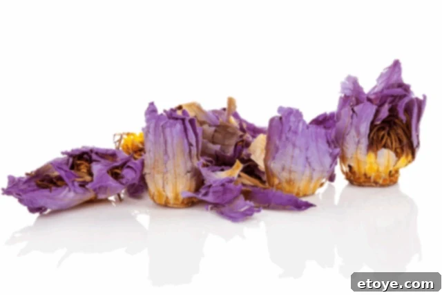 Blue Lotus A Legal Psychedelic Mocktail Recipe 2 blue lotus flowers