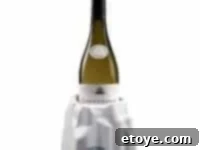 Ravi Wine Iceberg - Mess-Free Wine Chiller