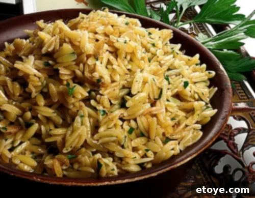 Delicious Orzo with Brown Butter and Cinnamon, garnished with fresh parsley, ready to be served as a comforting side dish.
