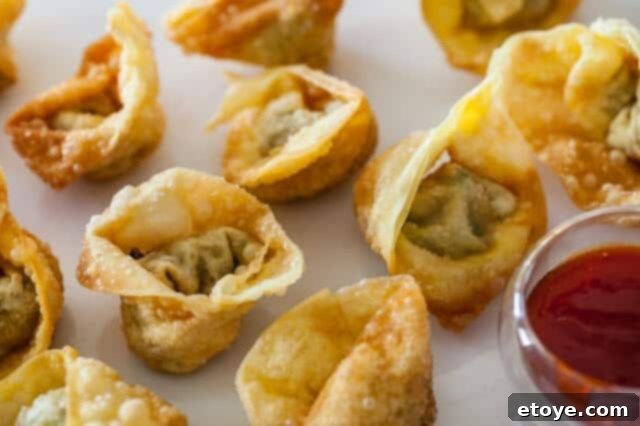 Chinese Fried Wontons Recipe
