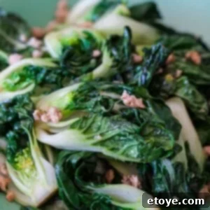 Bok Choy and Ground Chicken Stir Fry
