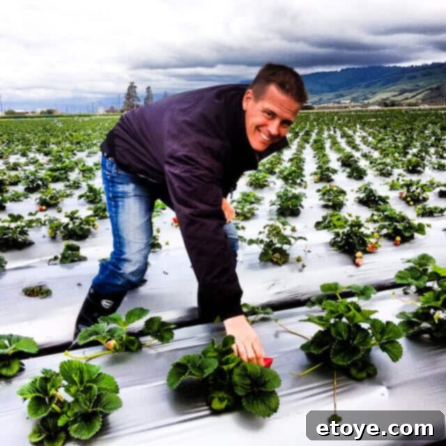 Charred Chicken with Blackberry Agrodolce 7 Driscoll's Berry Harvest and Quality Control