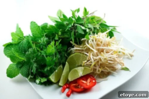 Fresh Herbs for Vietnamese Pho Recipe