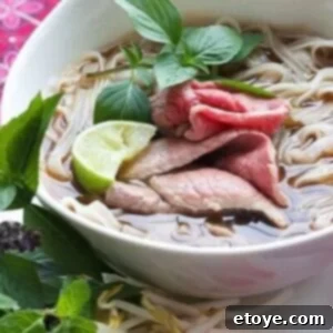Vietnamese Pho Recipe