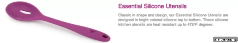 Giveaway: $100 Core Kitchen Gift Certificate 4 Core Kitchen: Aesthetic and Functional Kitchen Accessories