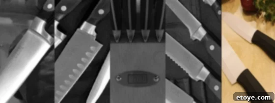 Enter to Win a TSU 6-Piece Forged Knife and Block Set 3 A selection of high-quality TSU kitchen knives, demonstrating diverse blade types, full tang construction, and ergonomic handles for superior culinary performance.