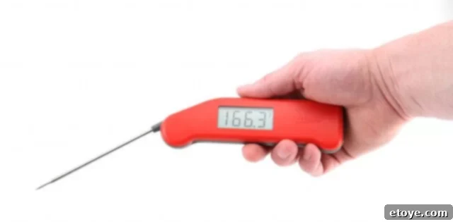 Win ThermoWorks Thermapen ChefAlarm Duo 3 Thermapen_Hand_SK