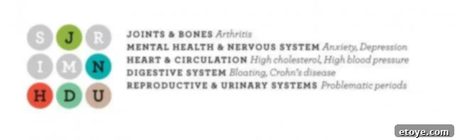 The Medicinal Chef: Eating for Wellness