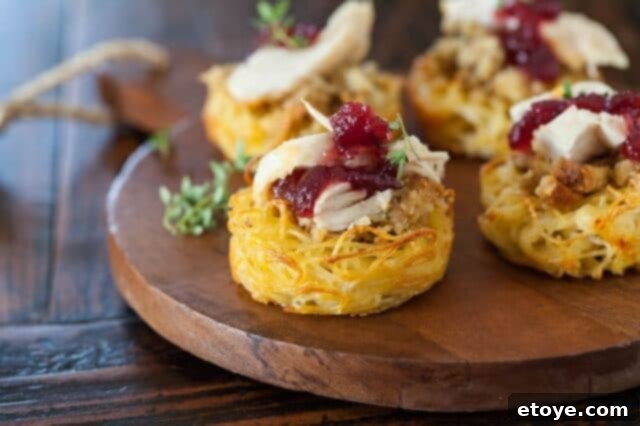 Thanksgiving Leftover Pasta Nests with Turkey and Cranberry