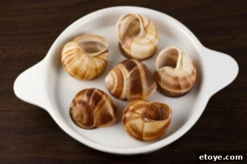 Escargot Shells and Baking Dish