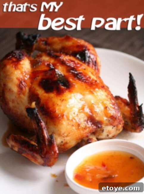 Roasted Chicken with Sweet Plum Sauce Delicious Roasted Chicken with Sweet Plum Sauce, perfectly golden and inviting