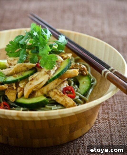Vibrant Asian Sesame Chicken Noodle Salad